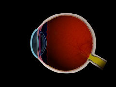 Farsightedness