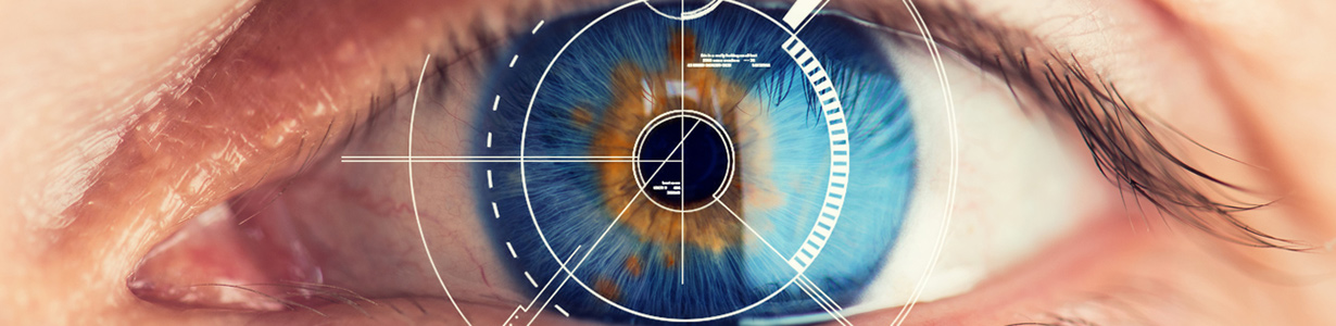 Cornea